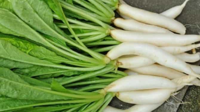 रोगप्रतिकारक शक्ती वाढण्यासाठी मुळा जबरदस्त फायदेशीर, वाचा !