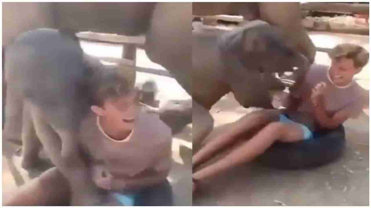 Viral Video : हत्तीच्या पिलाचे माणसासोबत नखरे, लोक म्हणतायत नटखट है ये बालक, व्हिडीओ पाहाच