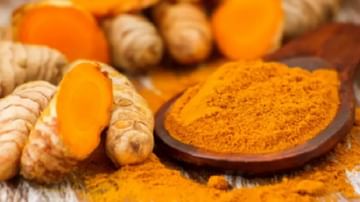Immunity Booster : कोरोना काळात 'हळदी'चे सेवन ठरेल गुणकारी, तज्ज्ञांकडून जाणून घ्या योग्य मात्रा !