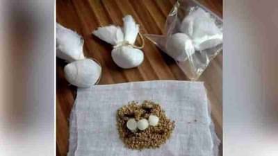 Fact Check | Oxygen Level : कापूर, लवंग, ओवा आणि नीलगिरी तेलामुळे वाढवू शकते ऑक्सिजन पातळी? जाणून घ्या सत्य