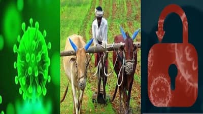 राज्यात लॉकडाऊन लागणार, बियाणे, खताच्या दुकानाचं काय?; शेतमाल शेतातच पडून राहणार का ?