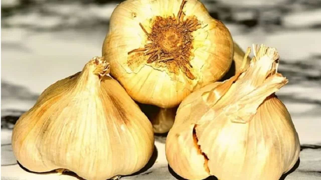 शरीरात ऑक्सिजनची पातळी सामान्य राखण्यासाठी 6 आवश्यक आहार !