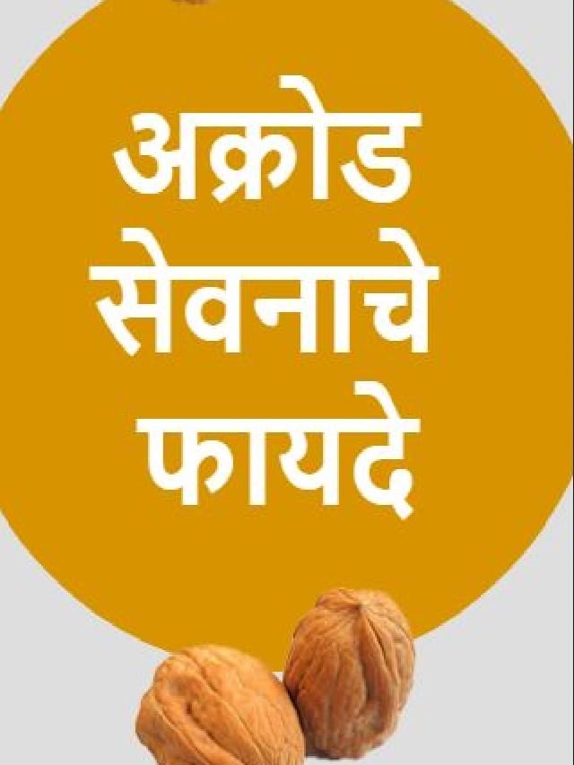 अक्रोड सेवनाचे फायदे TV9 Marathi Medicinal And Health Benefits Of