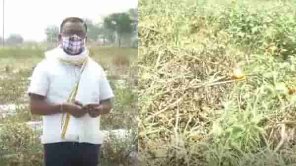 भाजी विकून भज्याचेही पैसे निघेनात, शेतकऱ्यांनी जगायचं कसं?