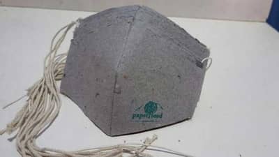 कर्नाटकमध्ये नवा प्रयोग, मास्क फेकल्यानंतर थेट झाड उगवणार; जाणून घ्या नेमकं कसं ?