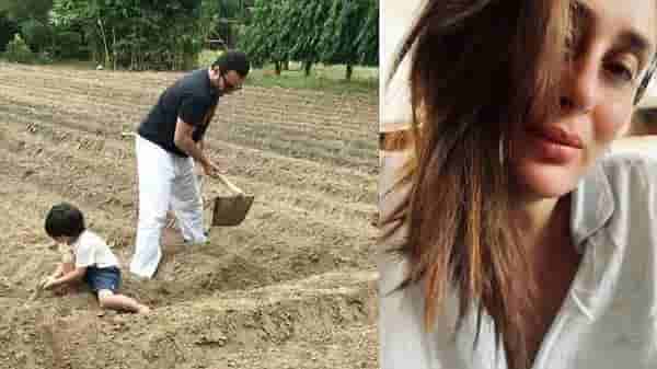‘पापा’ सैफसह शेतात काम करतोय चिमुकला तैमूर, करीनाने शेअर केले खास फोटो!