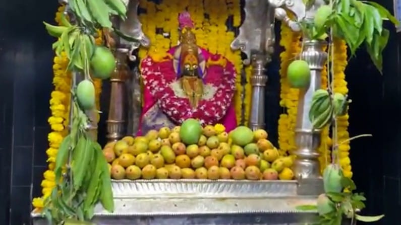 यावेळी देवीला भक्तांनी अर्पण केलेले आंबे प्रसाद म्हणून ठेवण्यात आले आहे.