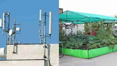 घराच्या छतातूनही कमवू शकता पैसा; या चार आयडियातून होईल छप्पर फाडके कमाई