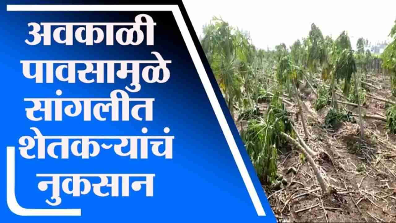 Sangli | वादळीवारा, गारपीट, अवकाळी पावसाचं सांगलीत थैमान, शेतकऱ्यांचं मोठं नुकसान