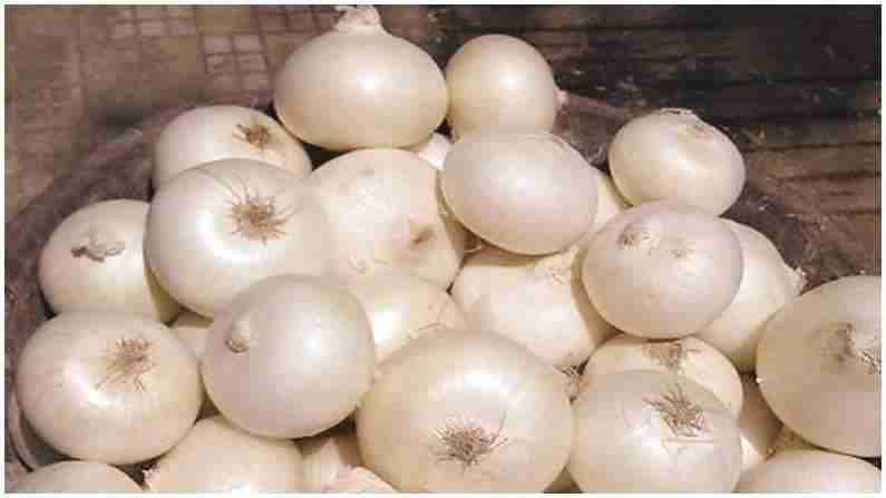 White Onion Benefits : उन्हाळ्यात सफेद कांद्याचे सेवन केल्यास होतील हे फायदे