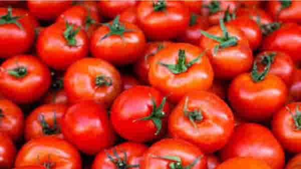 Summer Light Meal | उन्हाळ्याच्या दिवसांत या हेल्दी आणि हलक्या पदार्थांचा आहारात करा समावेश