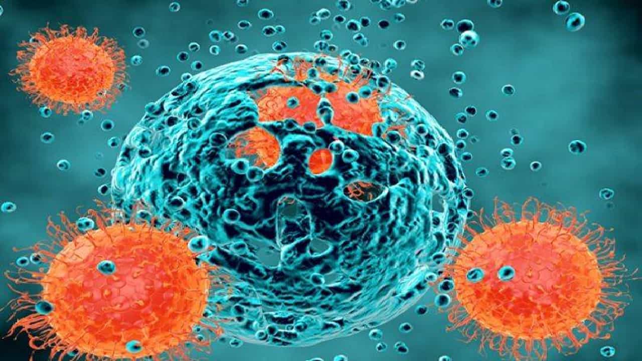 Corona Cases India | देशात चार लाखांहून अधिक नवे कोरोना रुग्ण, एका दिवसात 3 हजार 523 कोरोनाबळी