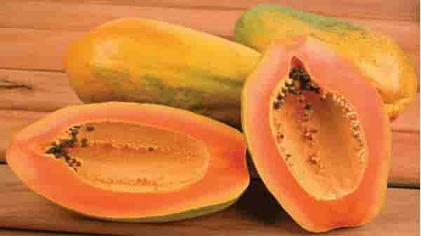 Health Tips : मधुमेहाच्या रुग्णासाठी पपई खाणे फायदेशीर आहे का? वाचा याबद्दलचे तज्ज्ञांचे मत...