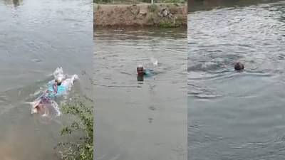 VIDEO : बटरफ्लाय, ब्रेस्ट स्ट्रोक ते बॅकस्ट्रोक, 72 वर्षीय आनंदीबाई आजींचा कॅनॉलमध्ये सूर