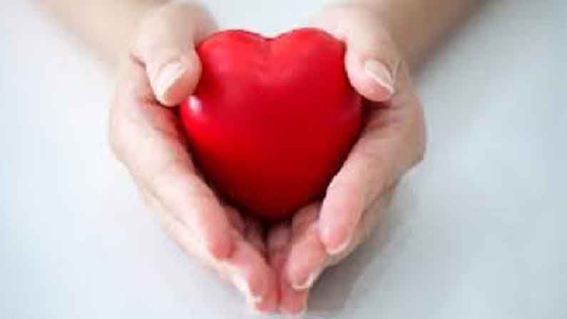 Heart Disease Risk : घरच्या घरी करा या टेस्ट, 90 सेकंदात कळेल तुमचे हृदय हेल्दी आहे की नाही