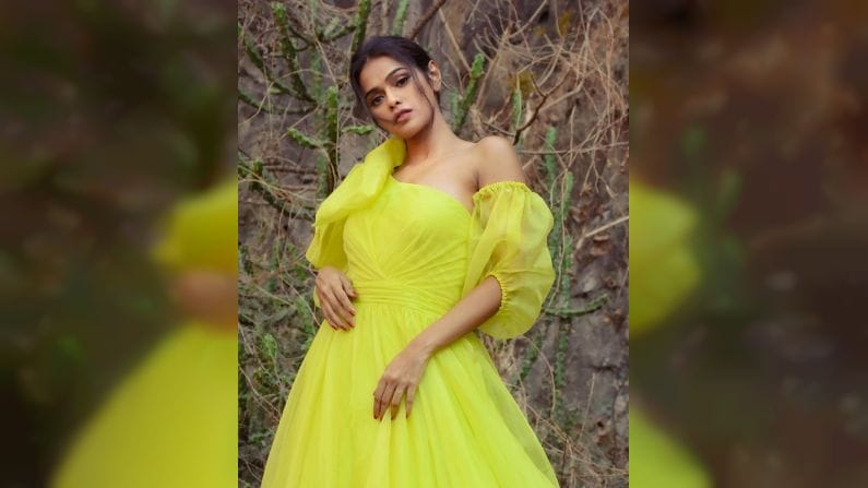 सोन्या अयोध्याच्या पतीचे नाव हर्ष आहे आणि तो एका मोठ्या रेस्टॉरंटचा मालक आहे. हर्ष आणि सोन्यानं 12 डिसेंबर रोजी लग्न केलं. सोनिया अयोध्याने तिच्या रॉयल लग्नाचे फोटो आणि व्हिडीओही सोशल मीडियावर शेअर केले होते.