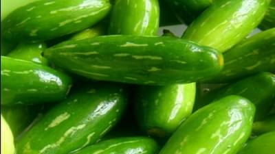 रोगप्रतिकारक शक्ती वाढवण्यासाठी तोंडली अत्यंत फायदेशीर, वाचा…