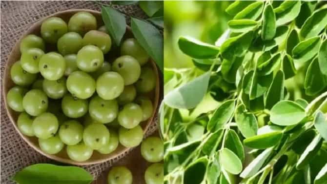 रोगप्रतिकारक शक्ती वाढवण्यासाठी मेथी आणि आवळ्याचा रस फायदेशीर, वाचा !