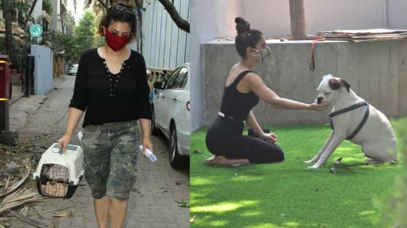 मुंबईसोबतच देशभरात सध्या लॉकडाऊन आहे. त्यामुळे सगळे कलाकार त्यांच्या घरीच आहेत. त्यातच या लॉकडाऊन दरम्यान, अनेक कलाकार महत्त्वाच्या कामांसाठी बाहेर पडत आहेत. आज रवीना टंडन आणि फातिमा सना शेख यांना मुंबईत स्पॉट करण्यात आलं.