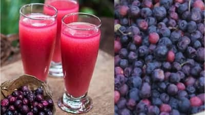 रोगप्रतिकारक शक्ती वाढवण्याबरोबरच अनेक आजारांवर करवंद गुणकारी !