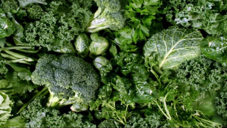 Health Benefits : हिरव्या पालेभाज्या खा आणि निरोगी जीवन जगा ! Health Benefits : हिरव्या पालेभाज्या खा आणि निरोगी जीवन जगा !