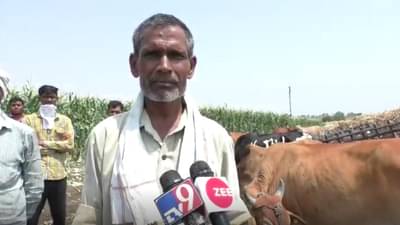 शेतकऱ्याचं अनोखं दातृत्व, मुक्या जनावरांसाठी मोफत चाराछत्र सुरु