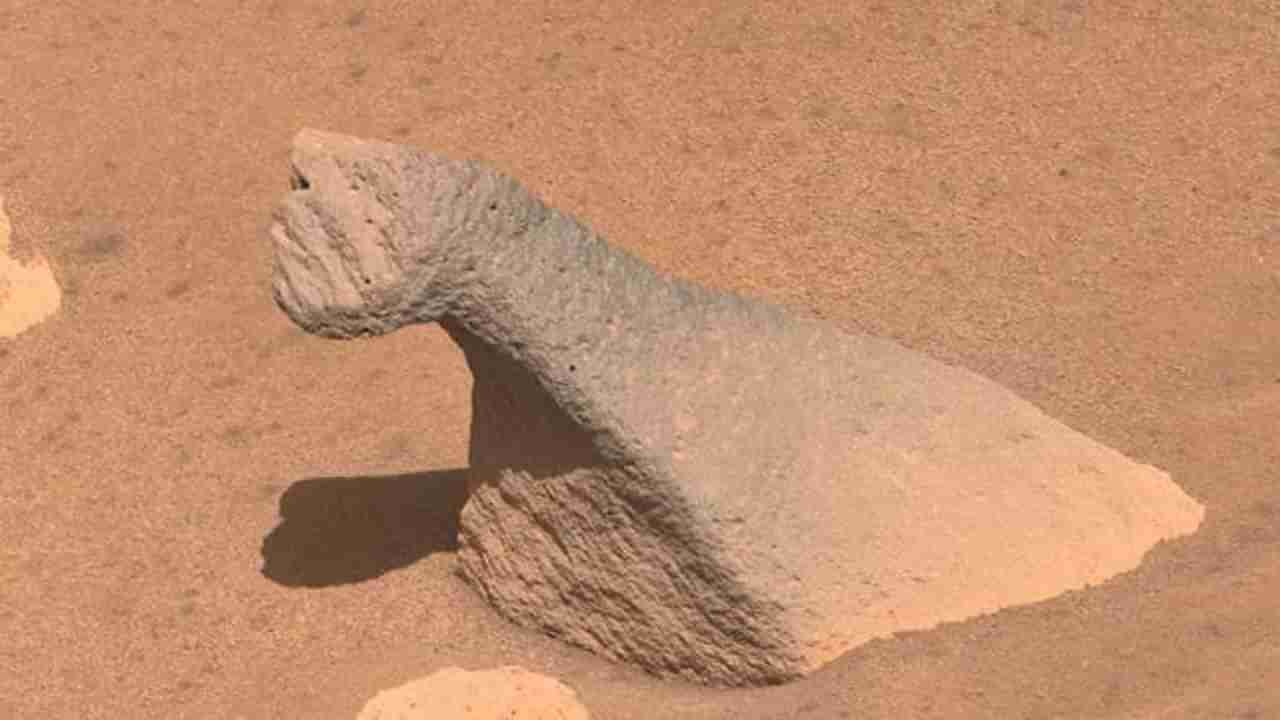 मंगळावर डायनासोरच्या आकारातील दगड, नासाच्या रोवरनं पाठवलेल्या फोटोची एकच चर्चा