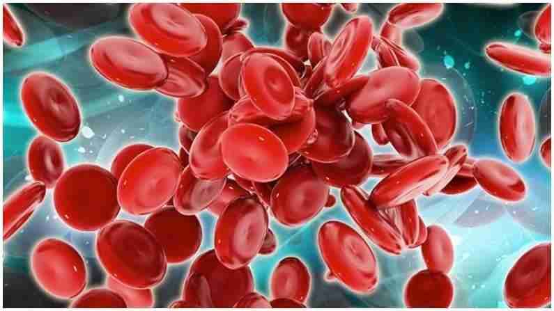 Iron Deficiency Symptoms : आपल्या शरीरात लोहाची कमतरता आहे हे कसे जाणून घ्यावे? Iron Deficiency Symptoms : आपल्या शरीरात लोहाची कमतरता आहे हे कसे जाणून घ्यावे?