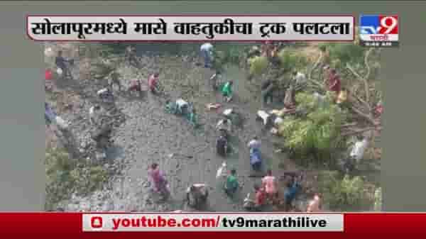 Solapur | सोलापुरात मासे वाहतूक करणारा ट्रक पलटला