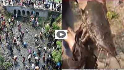 Video | जिवंत माशांनी भरलेला ट्रक उलटला, लोकांची मासे पकडण्यासाठी झुंबड