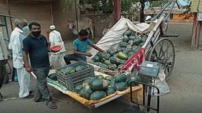 कोरोनाच्या संकटात कलिंगड शेतीनं दिला आधार, दोन एकरात शेतकऱ्यानं 6 लाखांचं उत्पन्न मिळवलं