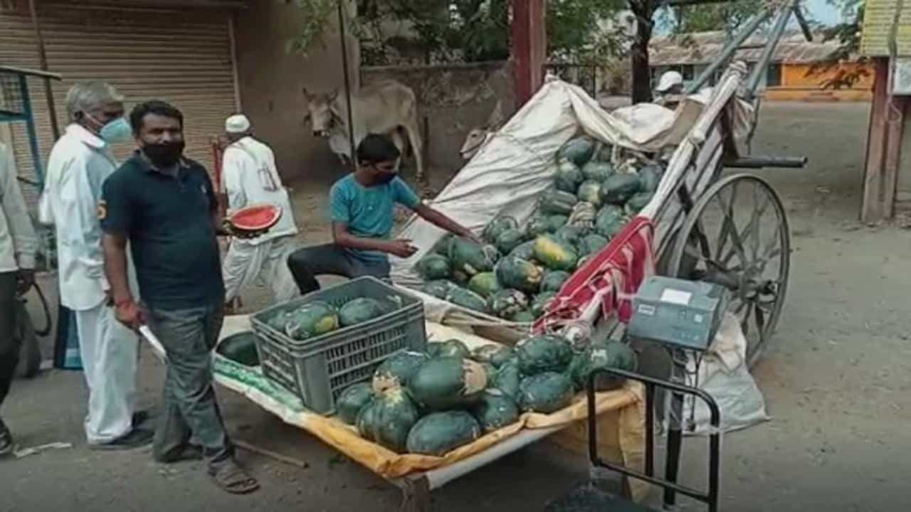 कोरोनाच्या संकटात कलिंगड शेतीनं दिला आधार, दोन एकरात शेतकऱ्यानं 6 लाखांचं उत्पन्न मिळवलं