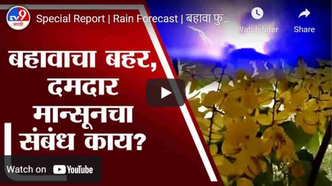 Special Report | Rain Forecast | बहावा फुलांनी बहरला, यंदा दमदार पावसाचे संकेत