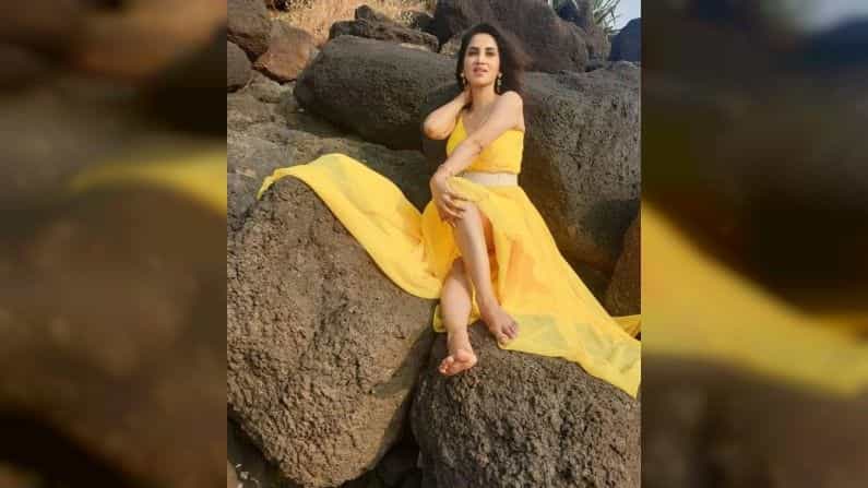 अनेक म्युझिक व्हिडीओंमध्ये आपली वेगळी छाप पाडल्यानंतर अभिनेत्री स्मिता गोंदकरनं बऱ्याच काळानंतर पुन्हा एकदा ‘साजणी तू’ या म्युझिक व्हिडीओद्वारे या कमबॅक केलं आहे.