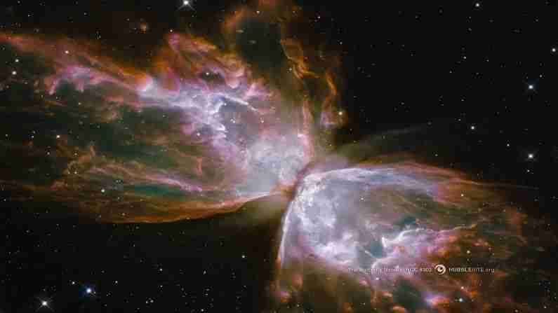 बटरफ्लाई नेबुला : हबलने 2009 मध्ये प्रथम द्विध्रुवीय नेबुला NGC 6302 पाहिले. हे बटरफ्लाय नेबुला किंवा बग नेबुला म्हणून ओळखले जाते. हे चित्र हबलच्या नवीन वाईड फिल्ड कॅमेरा 3 मधून काढले आहे. या कॅमेर्‍याद्वारे खोल अवकाशाचा हबलने घेतलेला हा पहिला फोटो होता.