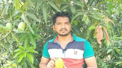 कोरोना महामारीत शेतीनं तारलं, माढयाच्या युवा शेतकऱ्यानं लाखो रुपयांचा आंबा थेट युरोपला पाठवला