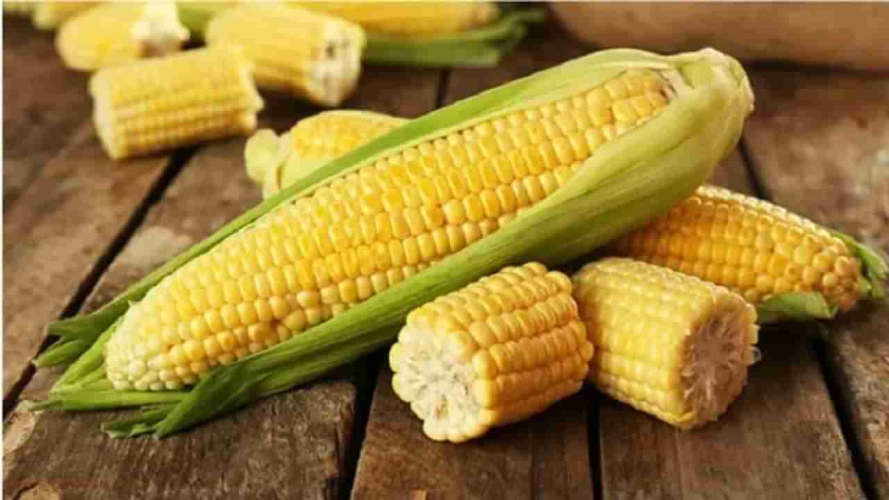 Benefits Of Sweet Corn : मक्याचे कणीस आरोग्यासाठी अत्यंत फायदेशीर, वाचा याबद्दल अधिक !