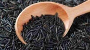 Black Rice Benefits | आरोग्यासाठी फायदेशीर काळा तांदूळ, इतिहास जाणून हैराण व्हाल