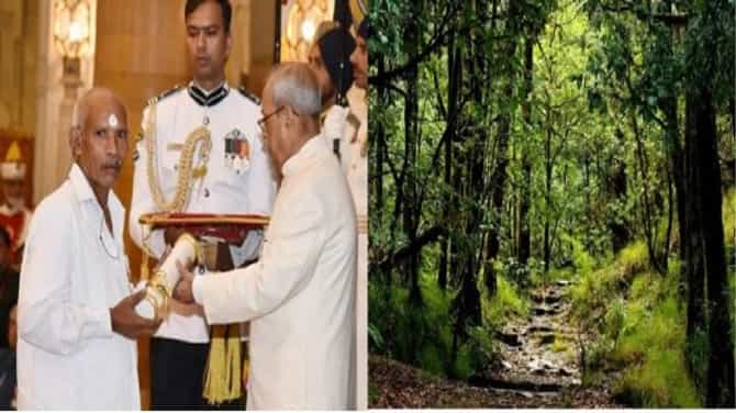 संपूर्ण आयुष्य पर्यावरणासाठी समर्पित केलं, एक कोटी झाडांकडून ऑक्सिजन मिळवून देणारा देवमाणूस, अख्ख्या जगाचा सलाम !