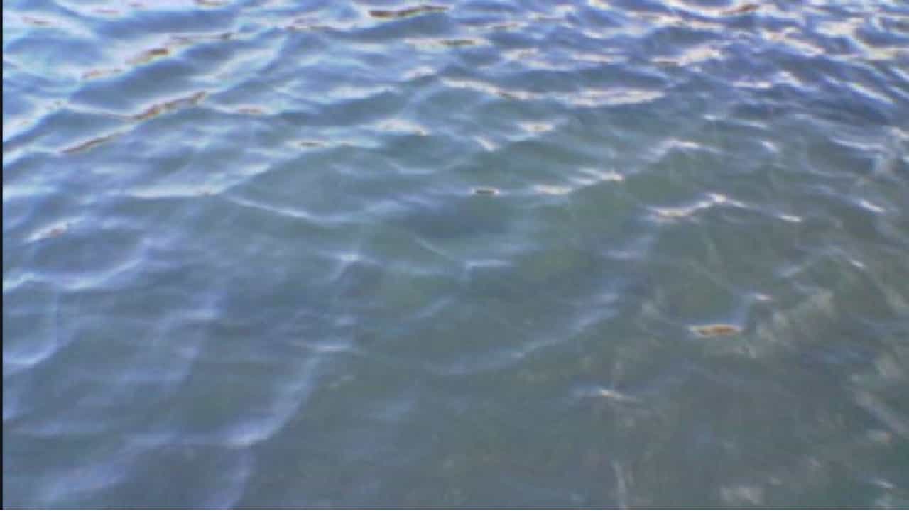 Mumbai Water Cut | मुंबईकरांनो पाणी जपून वापरा, पाच दिवसांसाठी पाणीकपात जाहीर