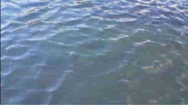 Mumbai Water Cut | मुंबईकरांनो पाणी जपून वापरा, पाच दिवसांसाठी पाणीकपात जाहीर