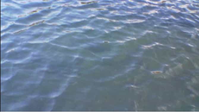 Mumbai Water Cut | मुंबईकरांनो पाणी जपून वापरा, पाच दिवसांसाठी पाणीकपात जाहीर