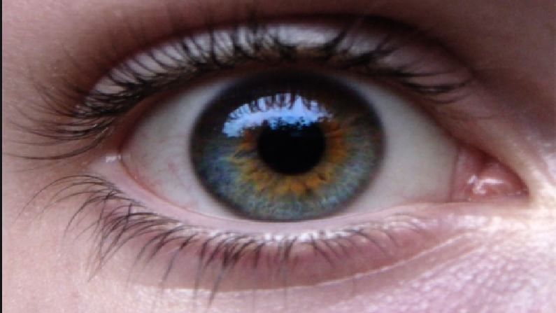 Summer Eye Care | अतिउष्णतेमुळे डोळे कोरडे, उन्हाळ्यात डोळ्यांची काळजी कशी घ्याल?