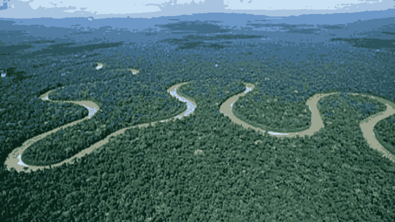 PHOTOS : पृथ्वीचं फुफ्फुस असलेलं अमेझॉनचं जंगल एकटं जगाला 20 टक्के ऑक्सिजन देतं, जाणून घ्या 10 फॅक्ट्स
