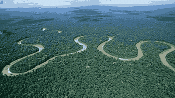 PHOTOS : 'पृथ्वीचं फुफ्फुस' असलेलं अमेझॉनचं जंगल एकटं जगाला 20 टक्के ऑक्सिजन देतं, जाणून घ्या 10 फॅक्ट्स