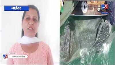 Special Report | व्हेल माशाला दिलं जीवदान, थरारक व्हिडीओ Social Media वर व्हायरल