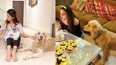 ‘कोको’ हरवलाय, शोधून देणाऱ्याला 1 लाखांचं बक्षीस! ‘मुन्ना मायकल’ फेम अभिनेत्रीची घोषणा