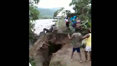 Fact Check: पोरं नारळाच्या झाडावर चढली, पाण्याचा प्रवाह आला, जमीन खचली आणि.