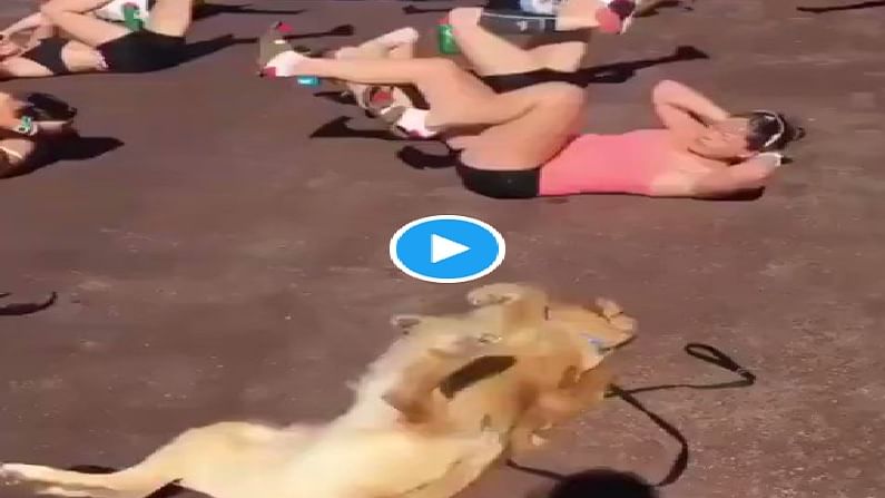 Viral Video : माणसांना लाजवेल असा कुत्र्याचा व्यायाम, अनेकांनी घेतली प्रेरणा, व्हिडीओ व्हायरल