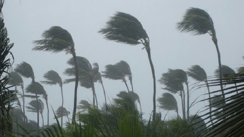 Cyclone Tauktae Effect: मराठवाडा, विदर्भासह राज्याच्या अनेक भागात वादळी वाऱ्यासह पाऊस, जळगावात दोन बहिणींचा मृत्यू